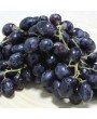 20pcs/bag Delicious Fruit Sweet Grape Seeds Home Garden Easy Planting Seeds